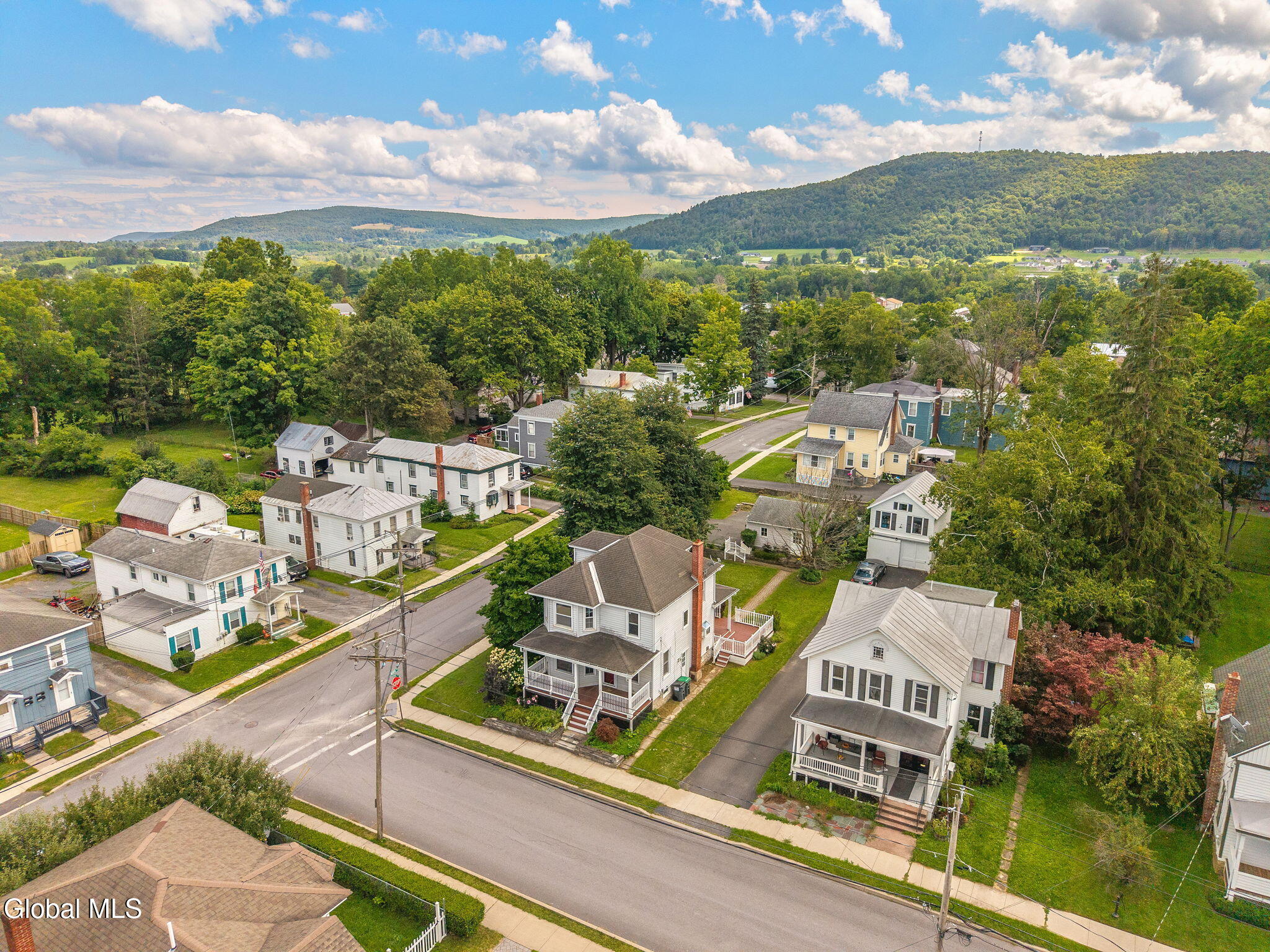 132 Lark Street Cobleskill NY 12043