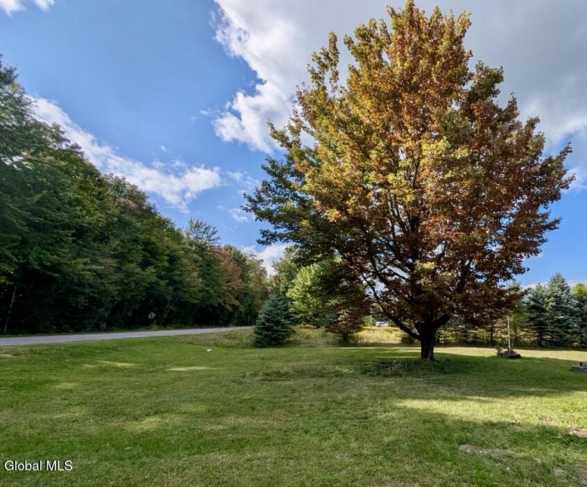 339 Orebed Road Colton NY 11201