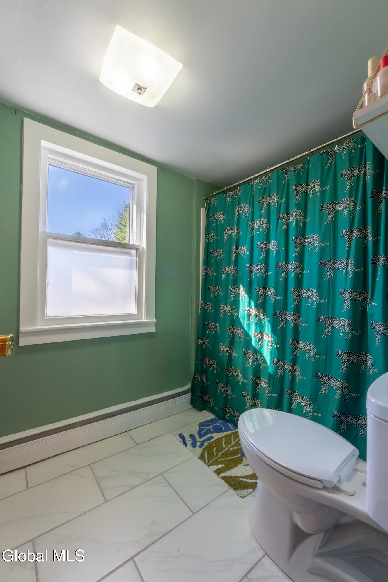 13 Hudson Avenue Stuyvesant Falls NY 12174