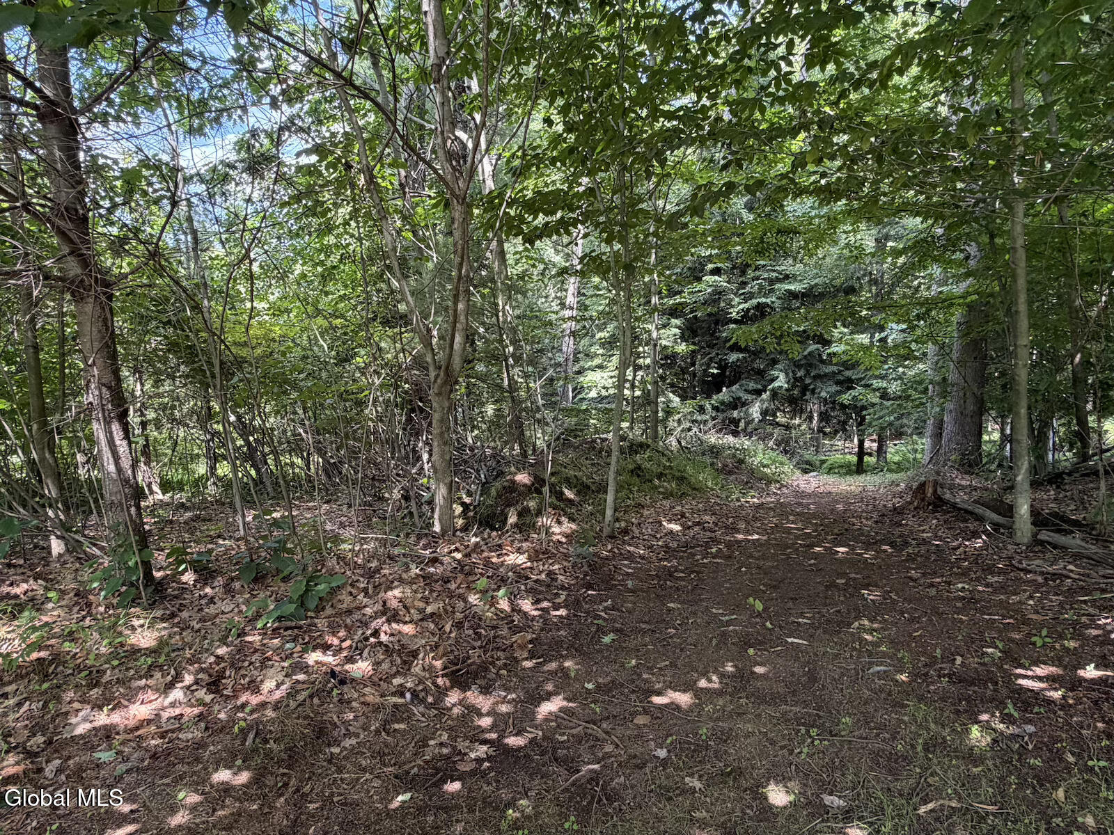 141 Wendell Avenue Broadalbin NY 12025