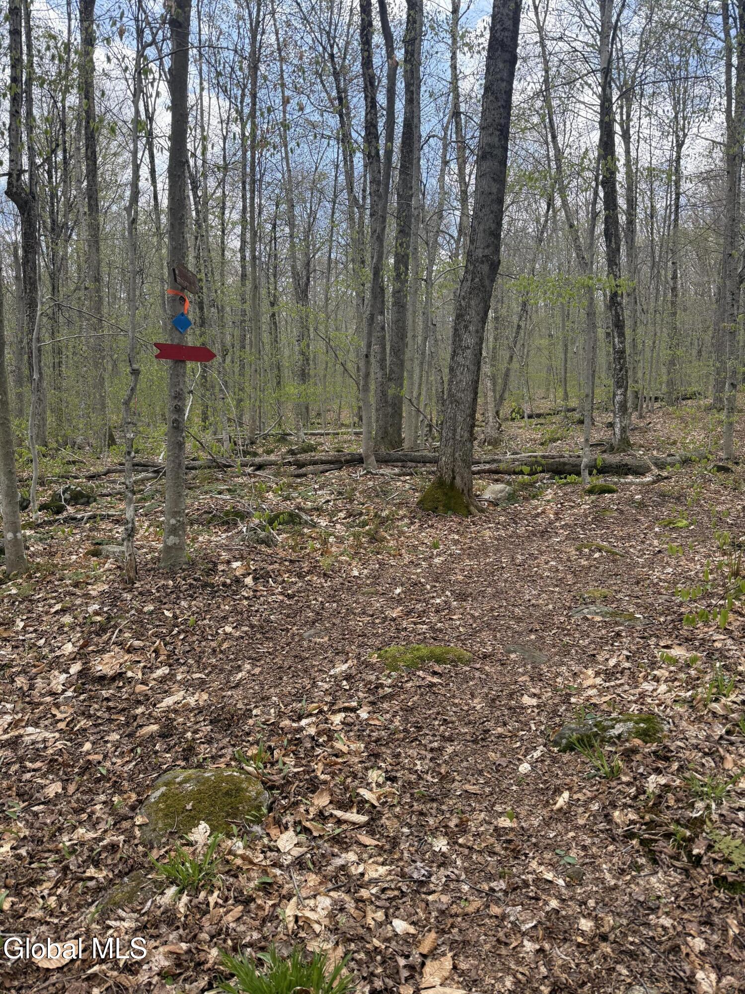 323 N Shore Rd Peck Gloversville NY 12078