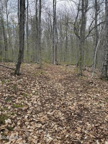 323 N Shore Rd Peck Gloversville NY 12078