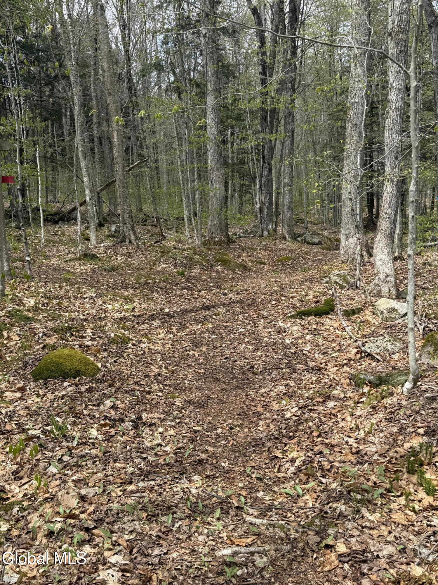 323 N Shore Rd Peck Gloversville NY 12078