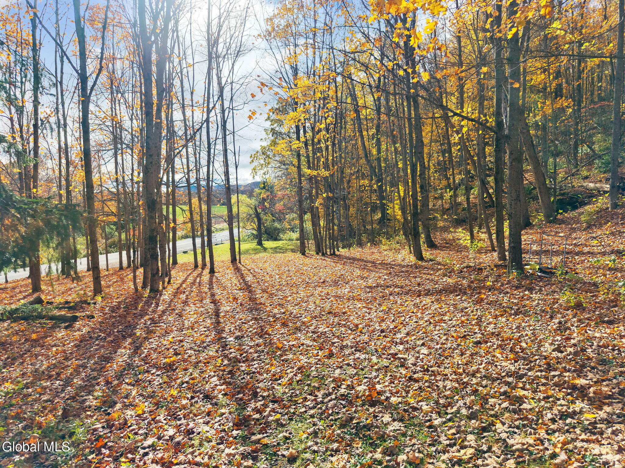 551 Salt Springville Road Cherry Valley NY 13320