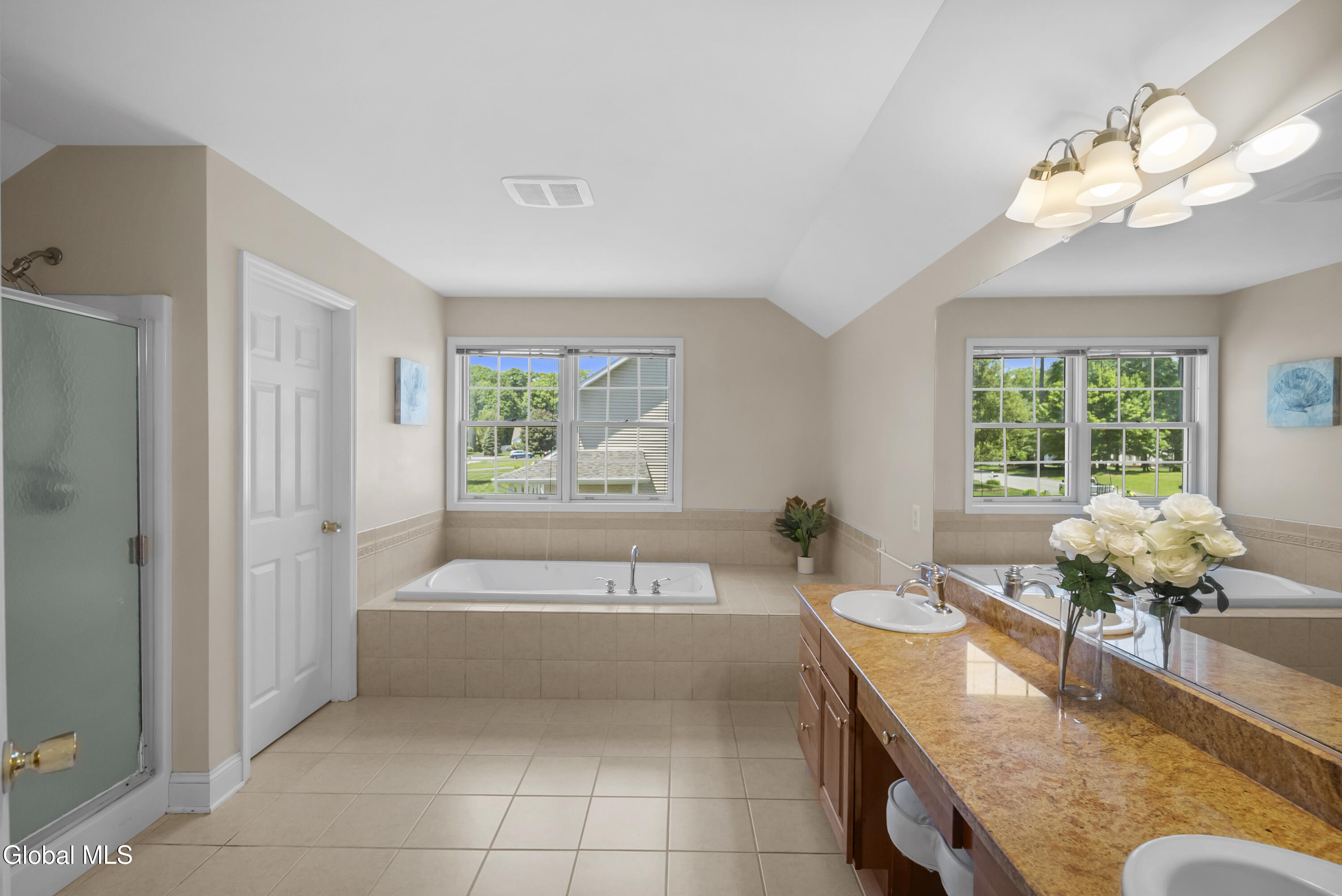 20 Birch Hill Road Ballston Lake NY 12019