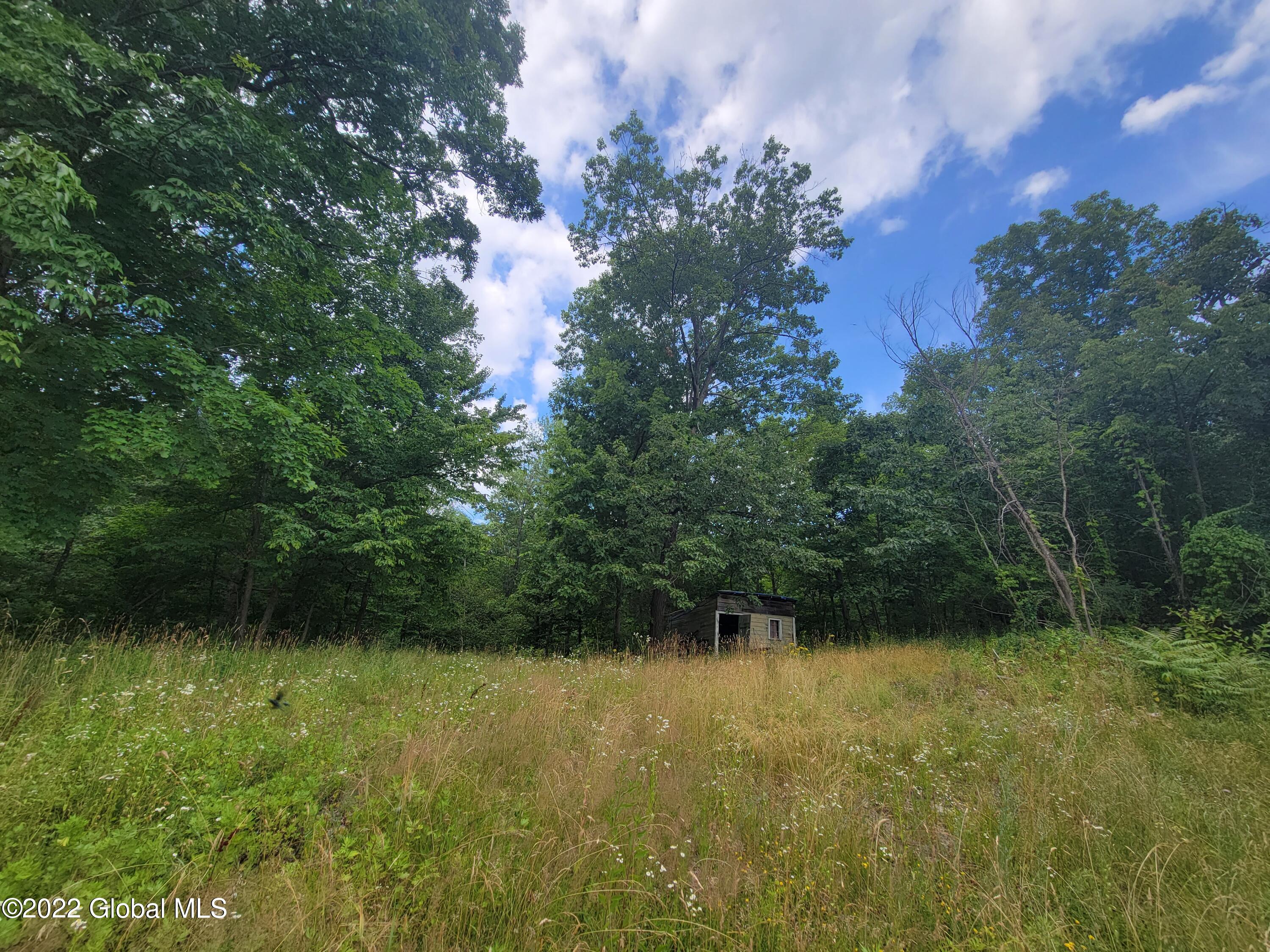 9071 Route 9w Athens NY 12015