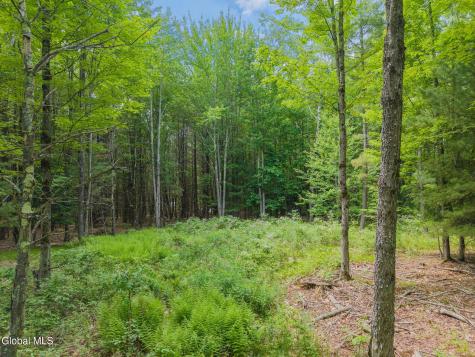 368 Brand Road Gilboa NY 12076
