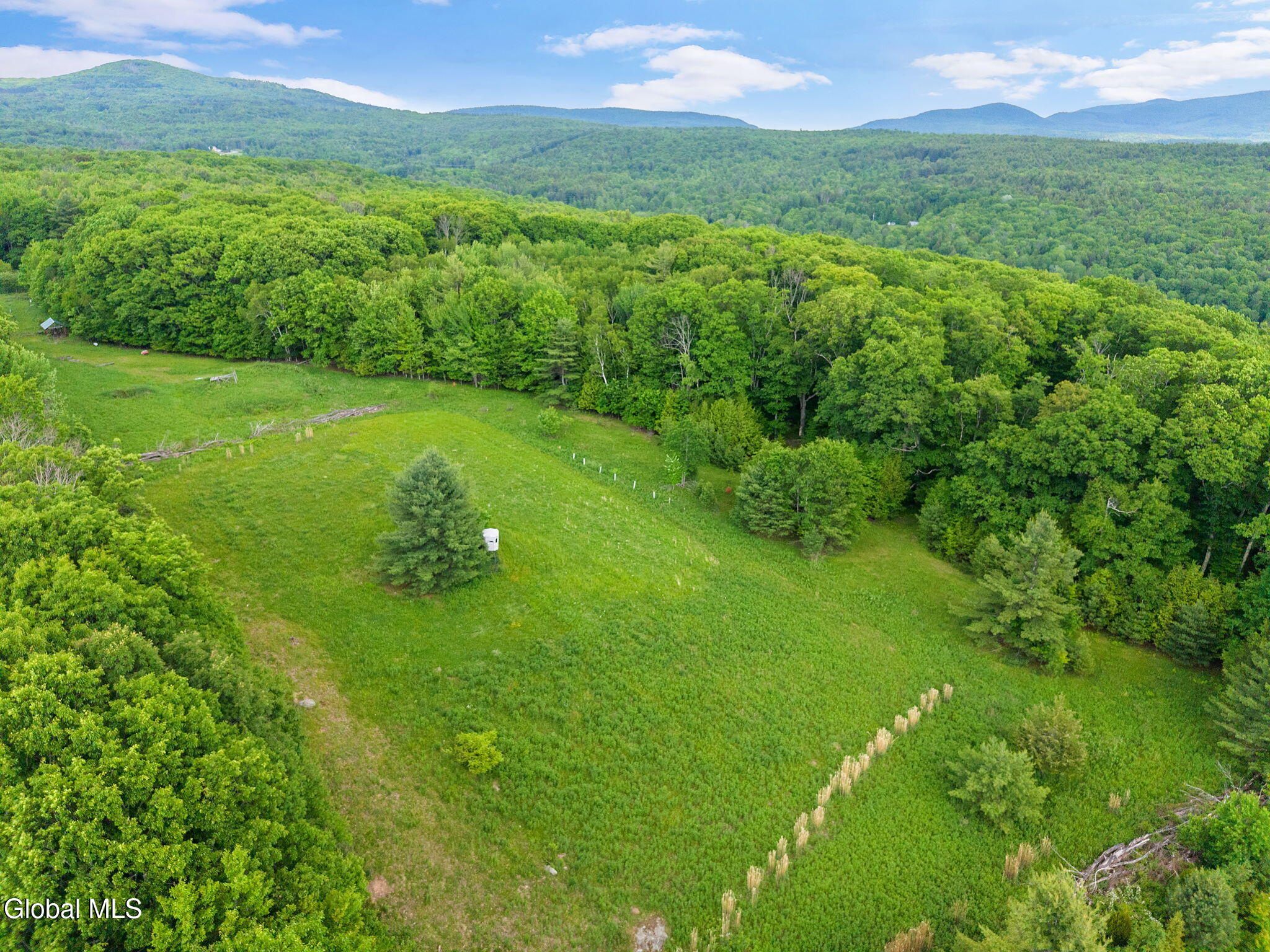 368 Brand Road Gilboa NY 12076
