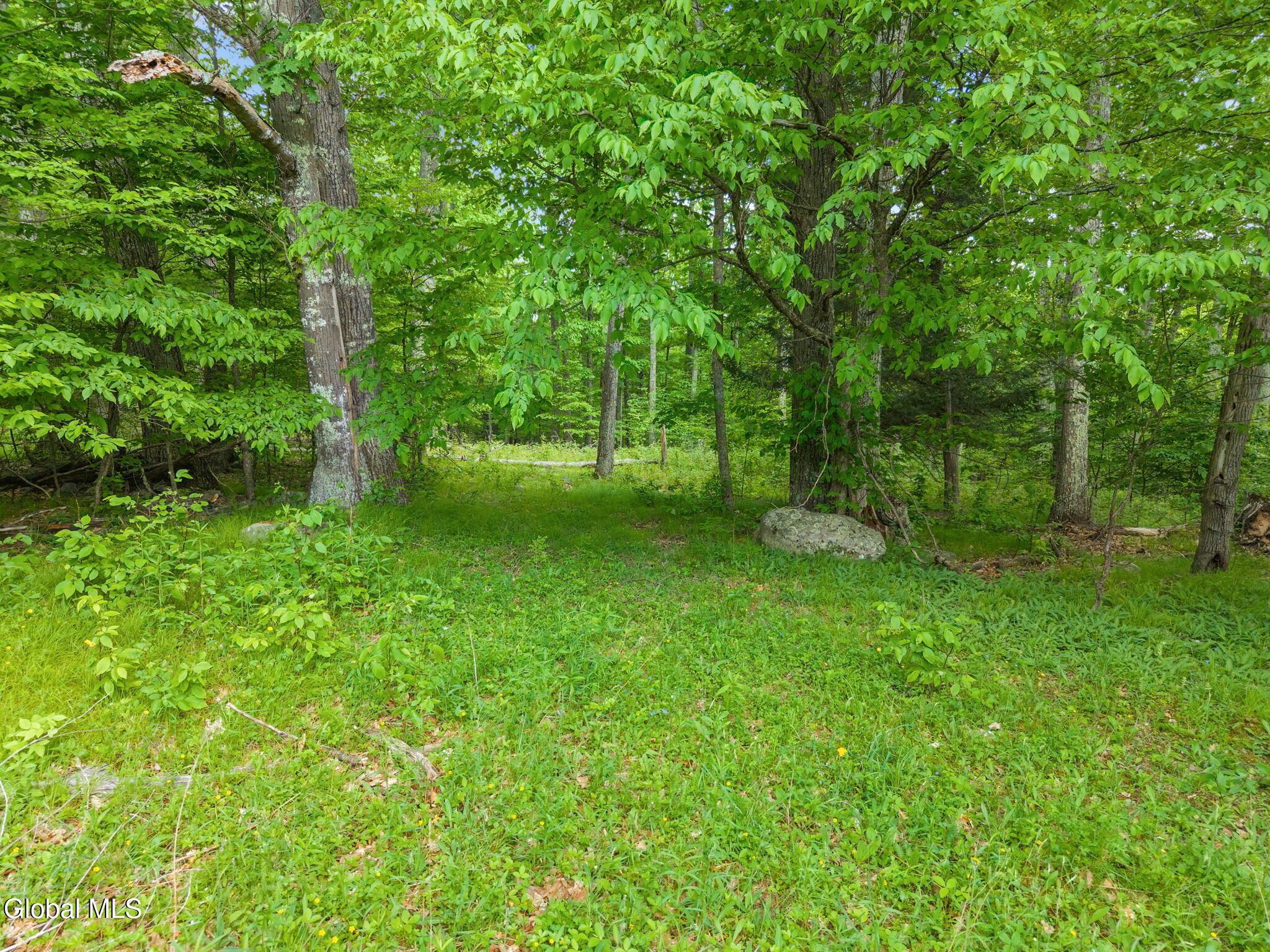 368 Brand Road Gilboa NY 12076
