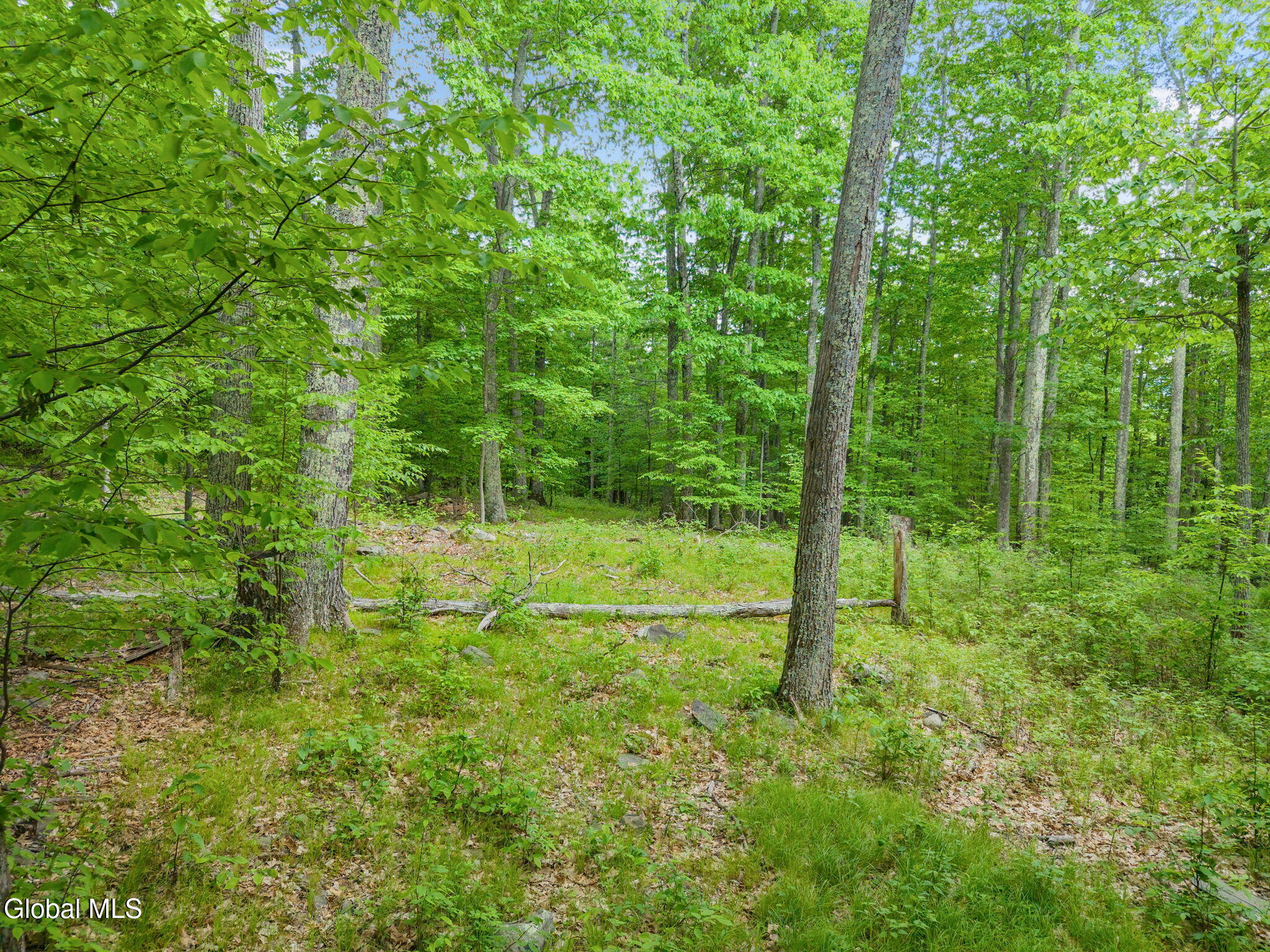 368 Brand Road Gilboa NY 12076