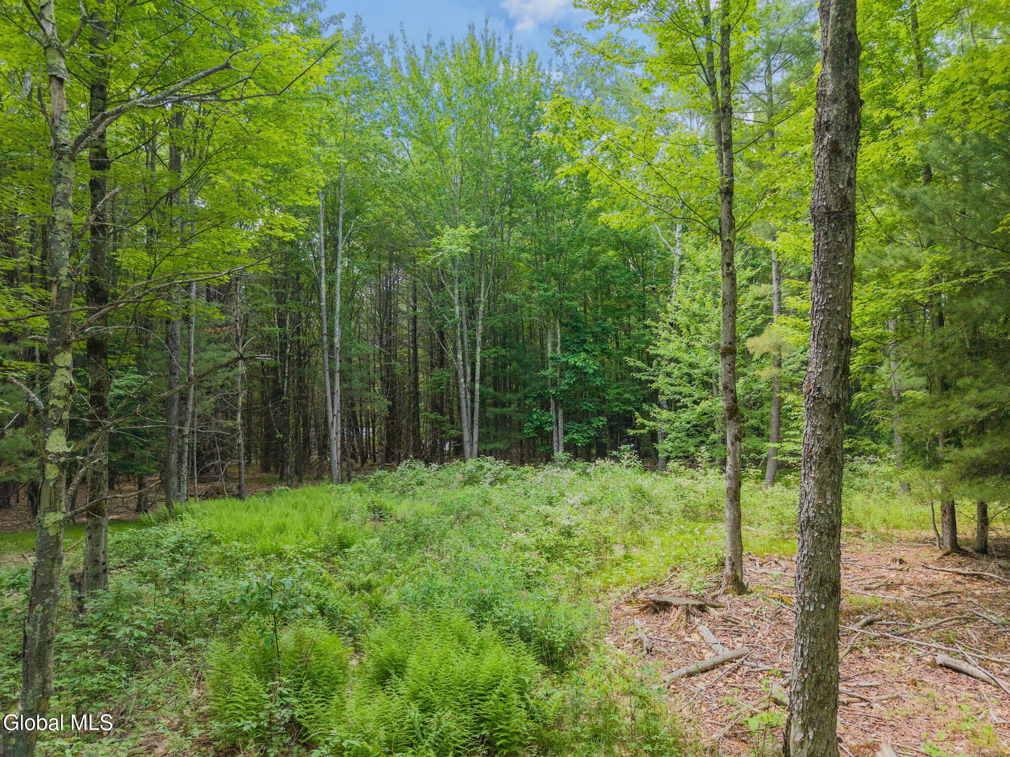 368 Brand Road Gilboa NY 12076
