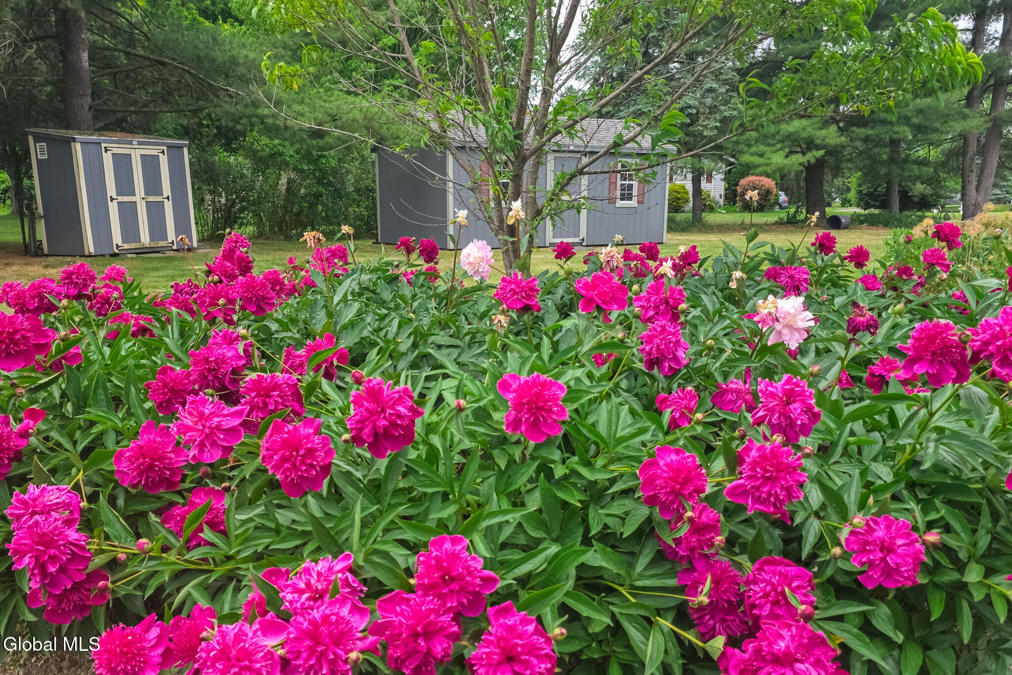 74 Hawthorne Drive Valatie NY 12184