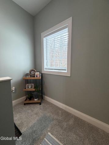 11 Hanifin Avenue Albany NY 12205