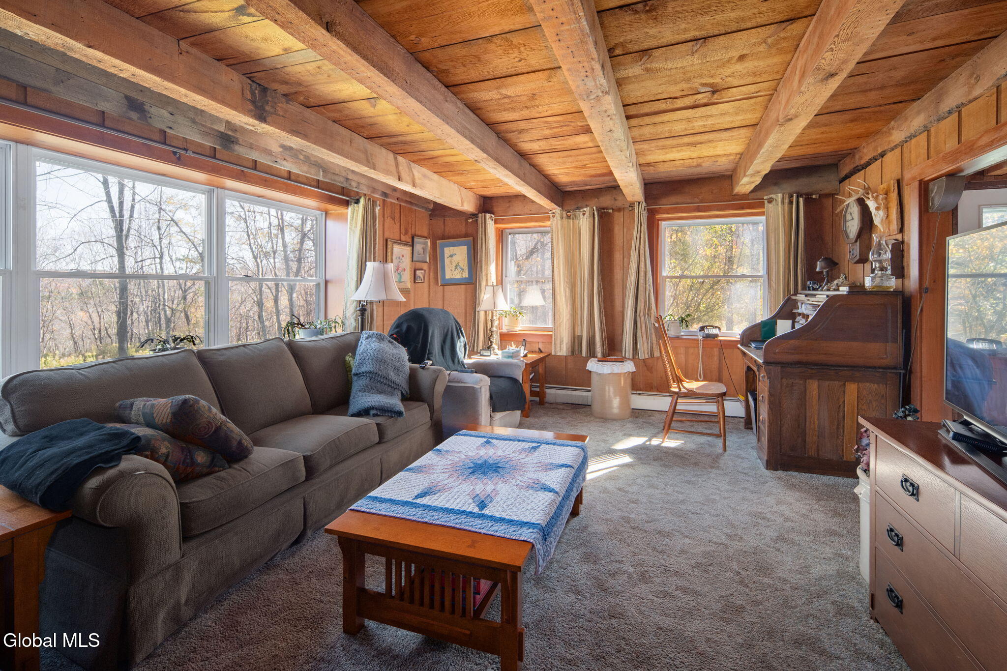 179 Rossman Hill Road Summit NY 12175