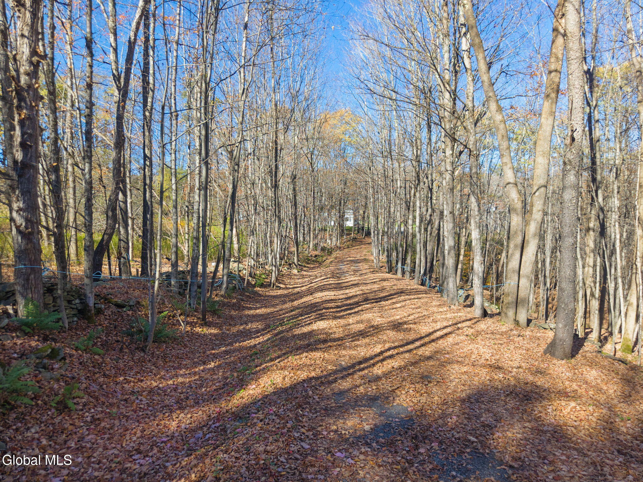 179 Rossman Hill Road Summit NY 12175