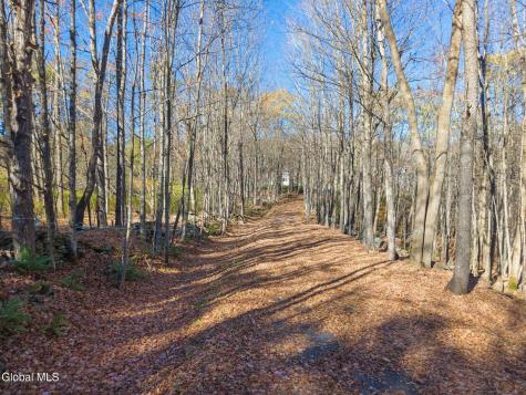 179 Rossman Hill Road Summit NY 12175
