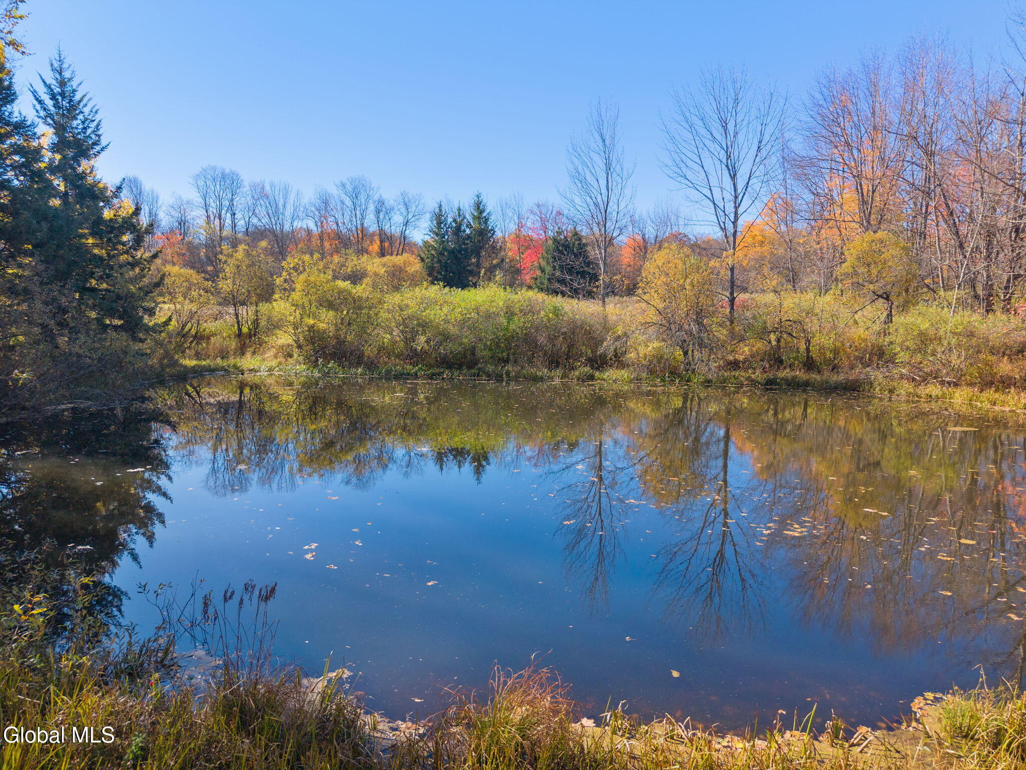 179 Rossman Hill Road Summit NY 12175