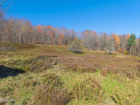 179 Rossman Hill Road Summit NY 12175