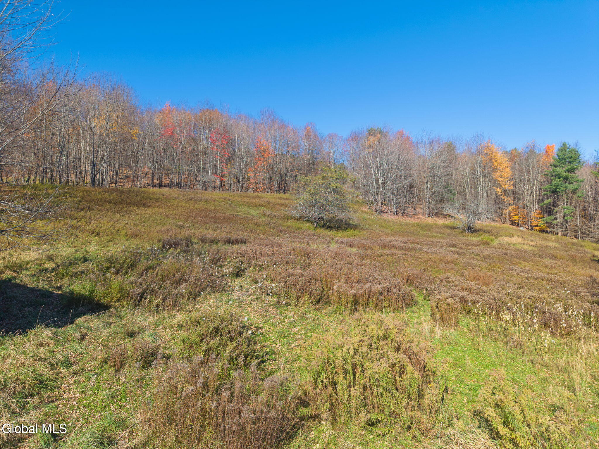 179 Rossman Hill Road Summit NY 12175