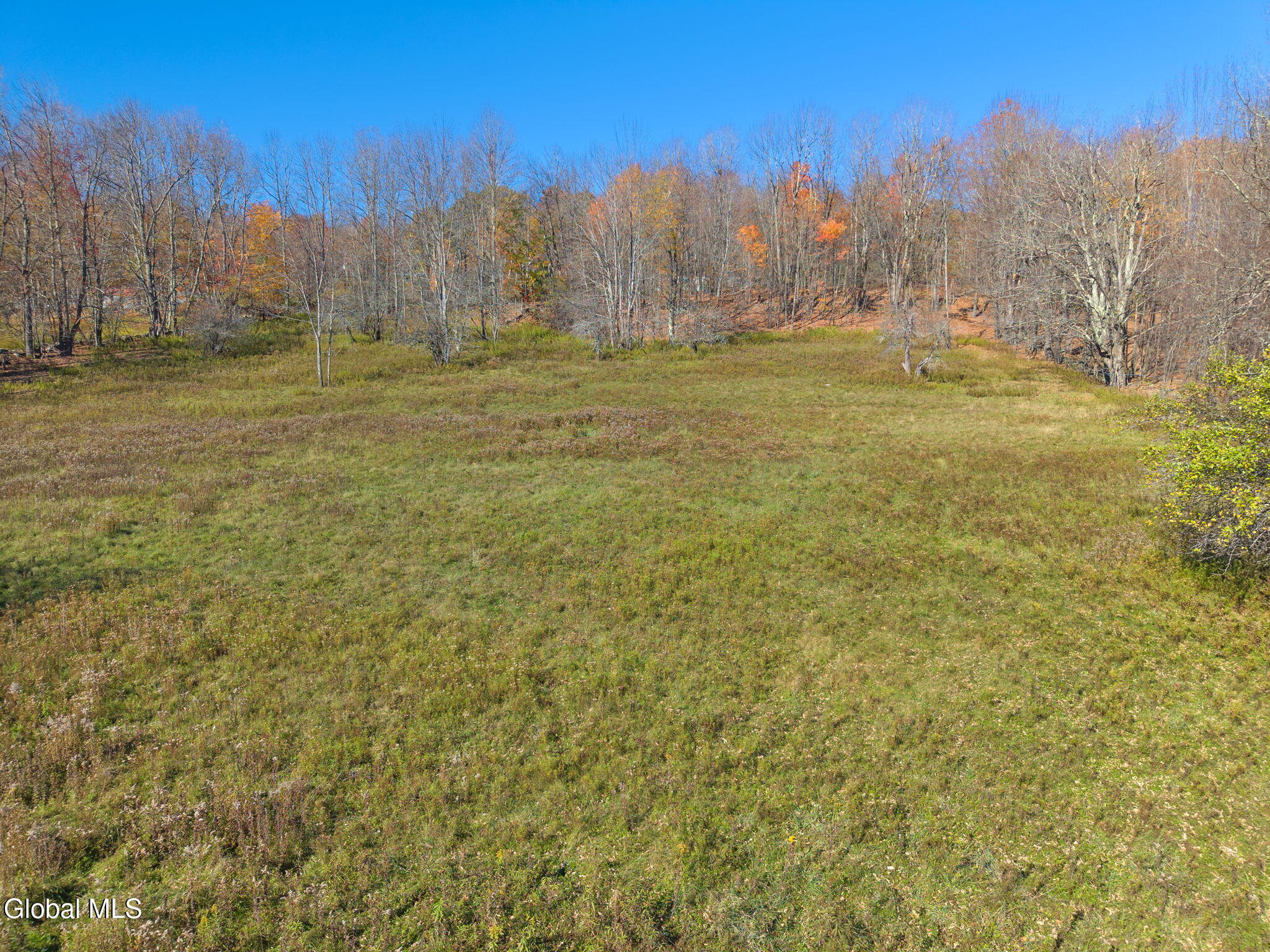 179 Rossman Hill Road Summit NY 12175