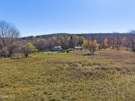 179 Rossman Hill Road Summit NY 12175