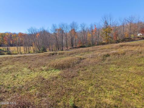 179 Rossman Hill Road Summit NY 12175