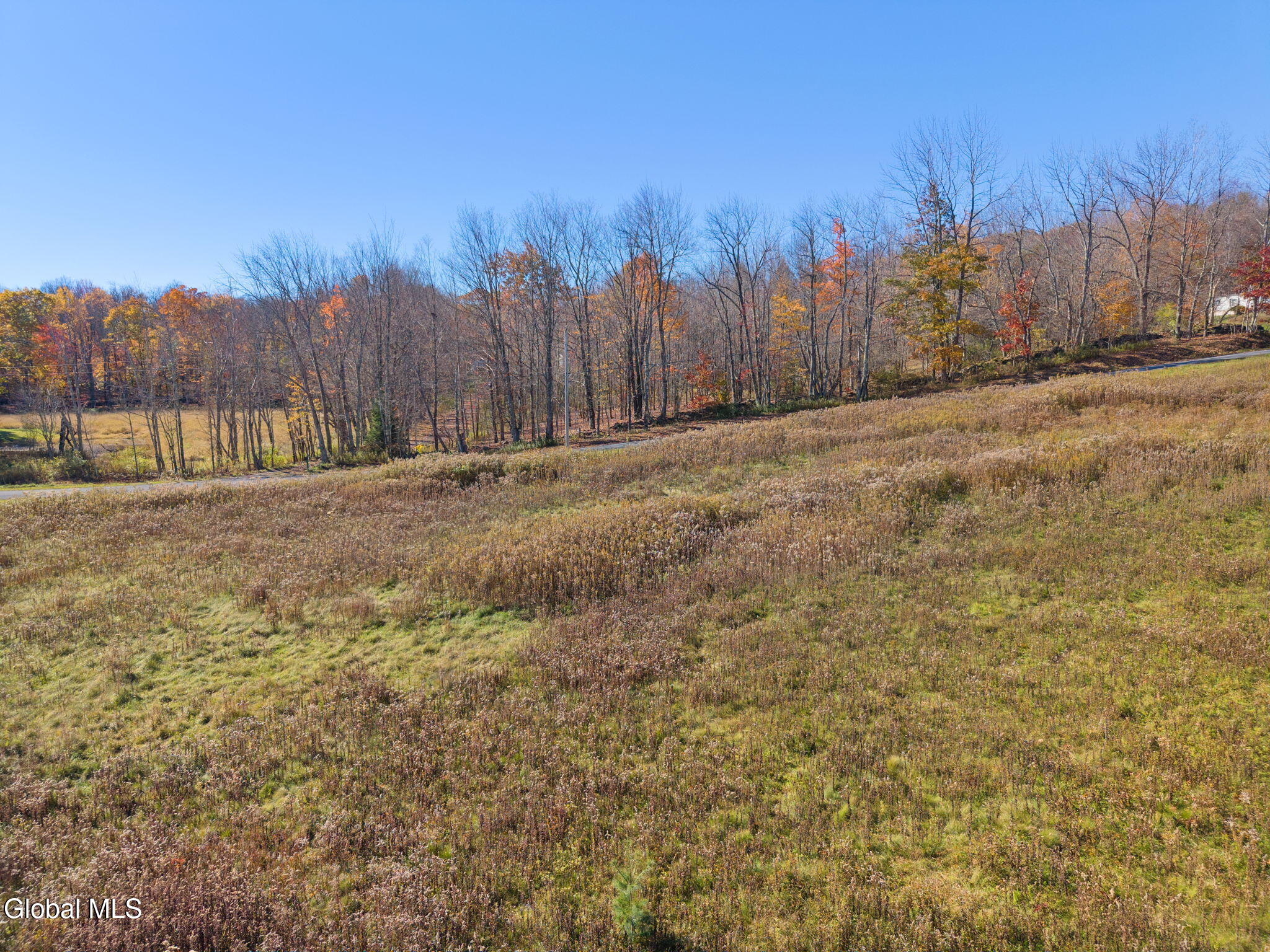 179 Rossman Hill Road Summit NY 12175