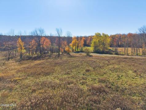 179 Rossman Hill Road Summit NY 12175