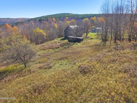179 Rossman Hill Road Summit NY 12175