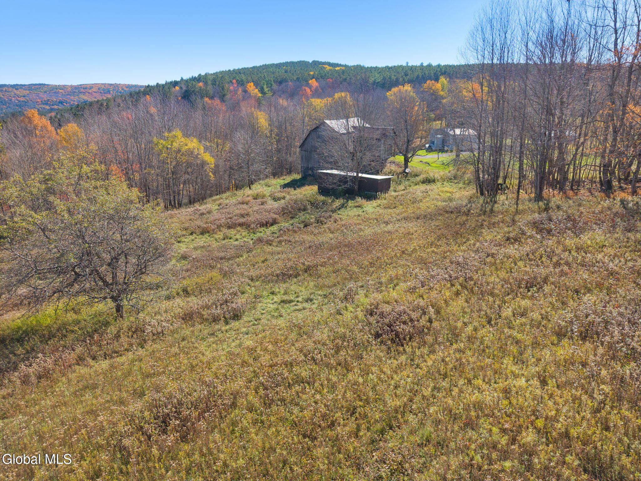 179 Rossman Hill Road Summit NY 12175
