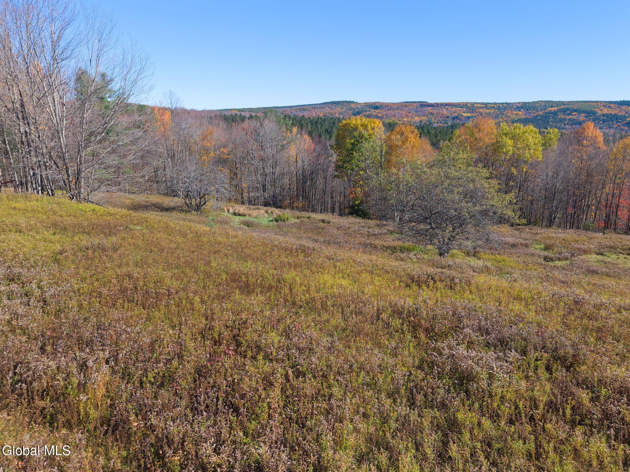 179 Rossman Hill Road Summit NY 12175