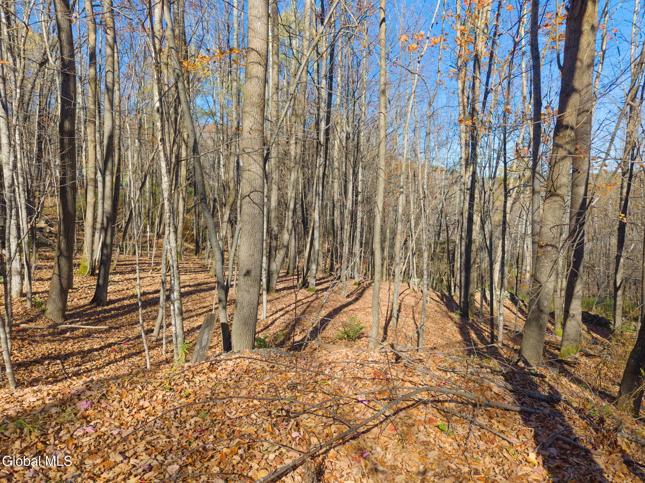 179 Rossman Hill Road Summit NY 12175