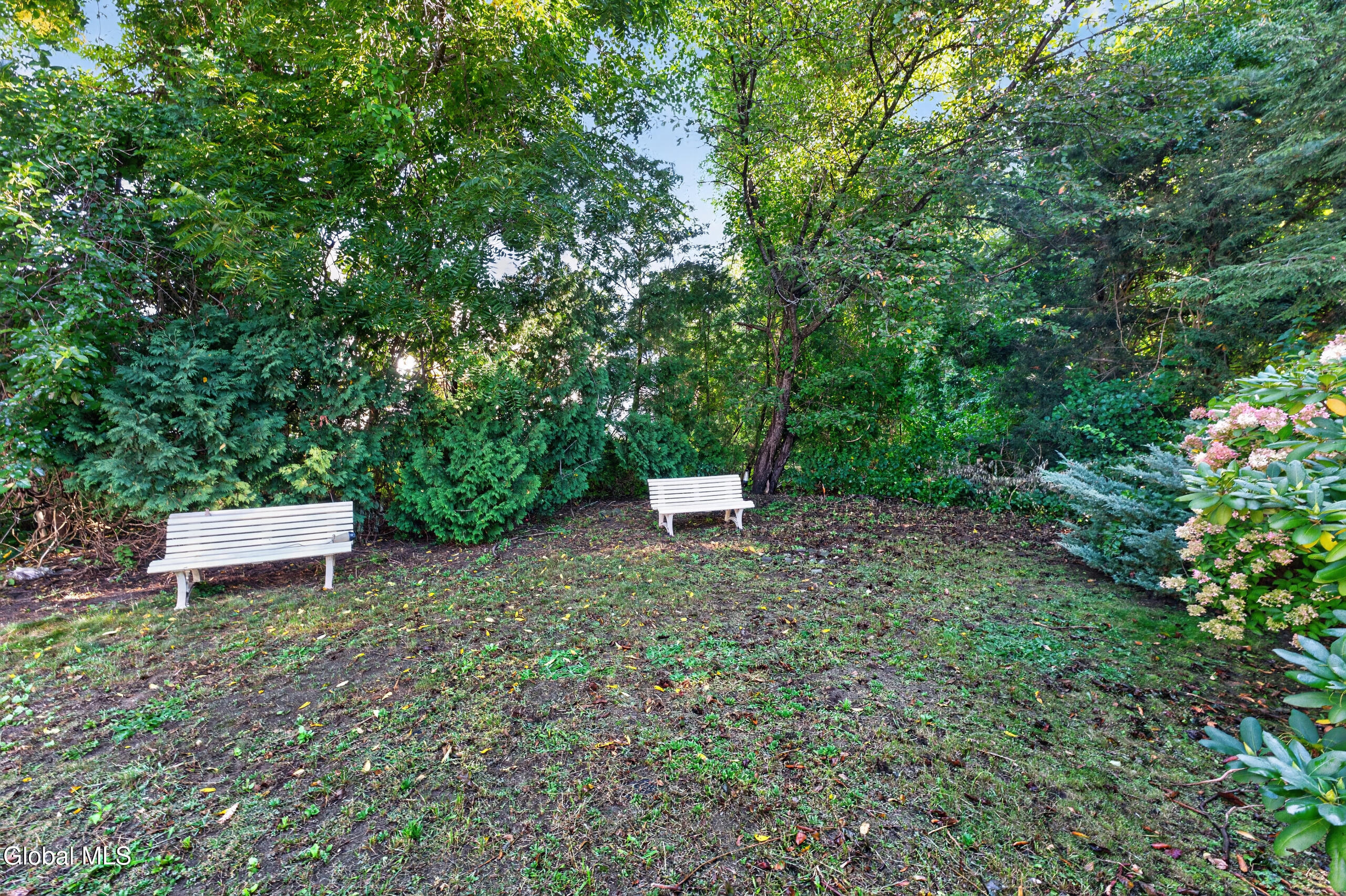 15 White Birch Court Rotterdam NY 12306