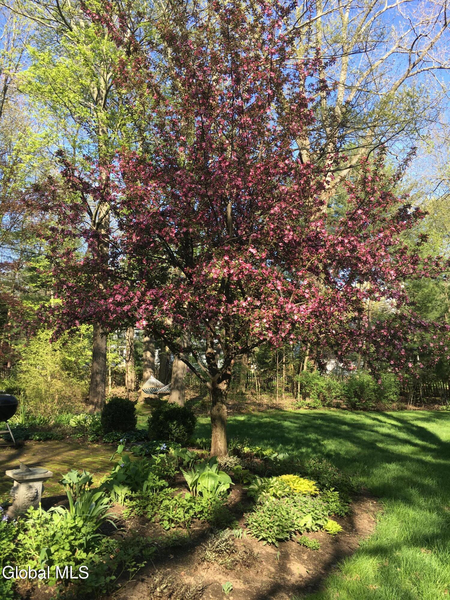 27 Wexford Road Delmar NY 12054