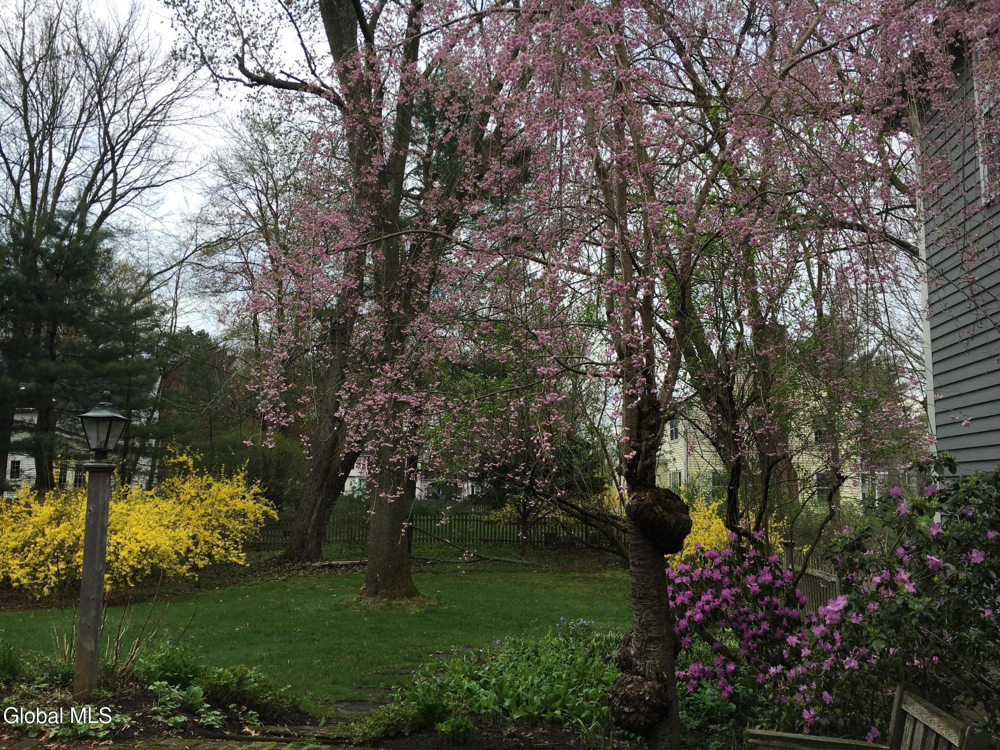 27 Wexford Road Delmar NY 12054