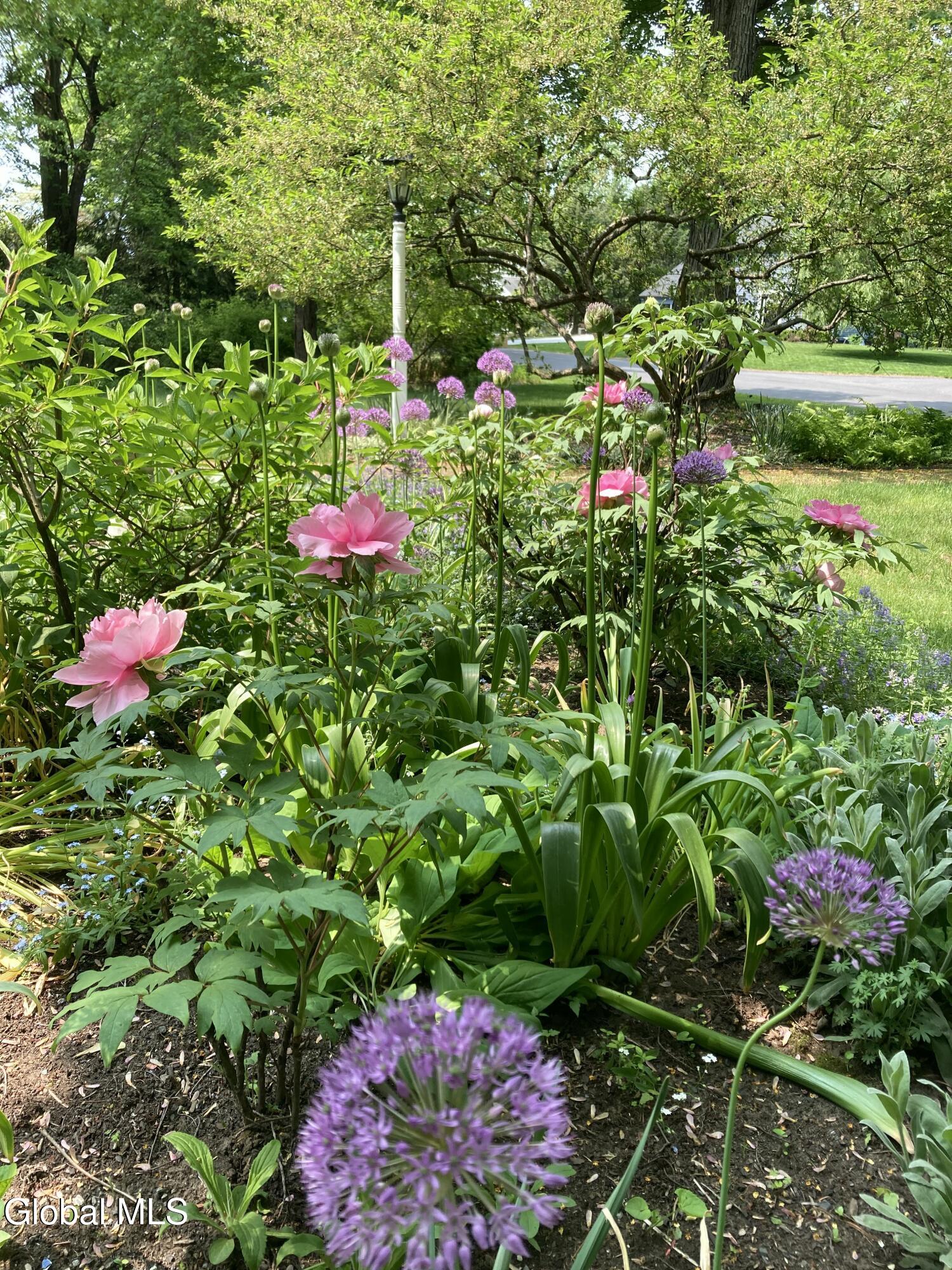 27 Wexford Road Delmar NY 12054