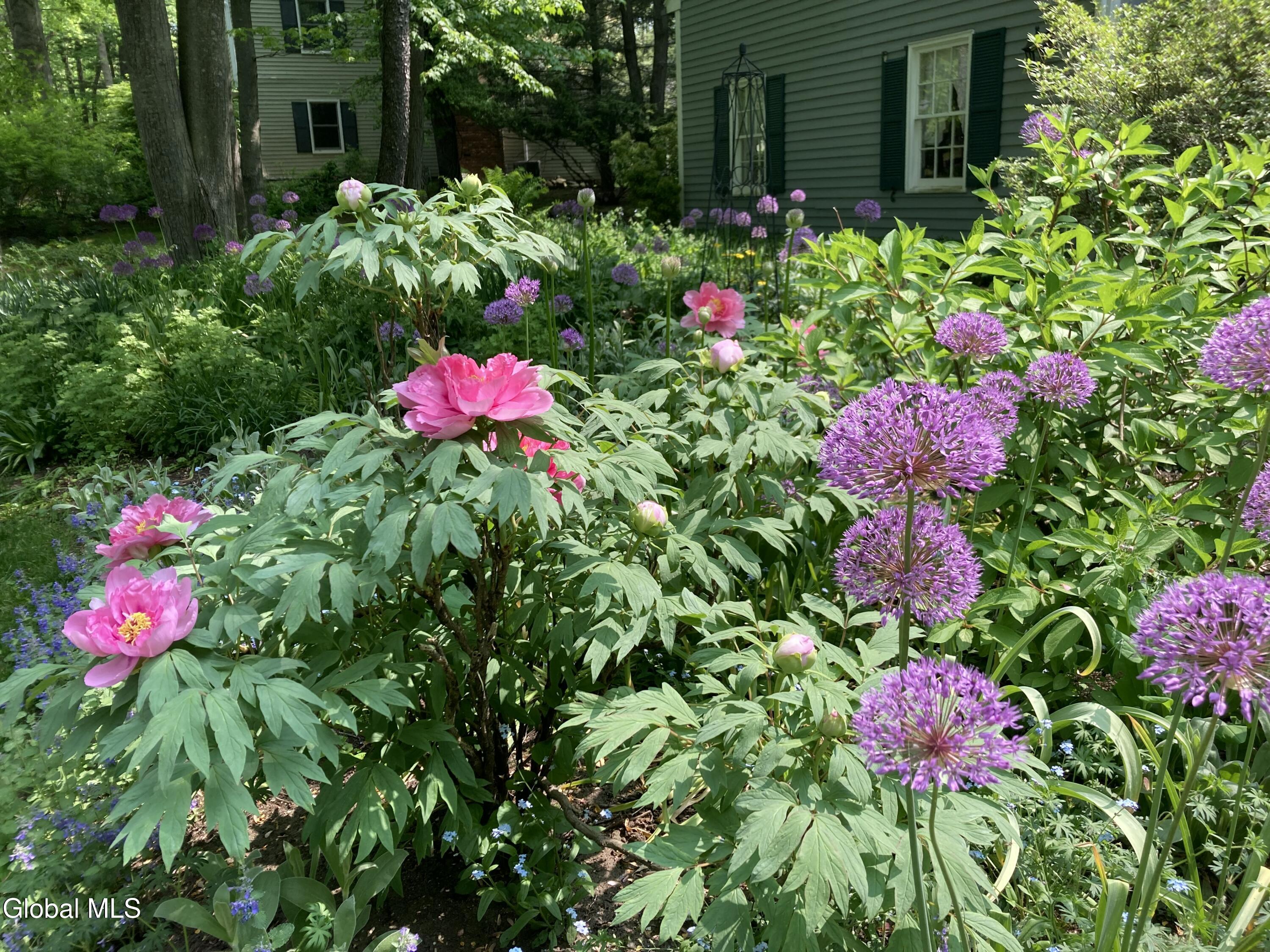 27 Wexford Road Delmar NY 12054