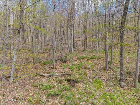 208 Dyer Road Jefferson NY 12093