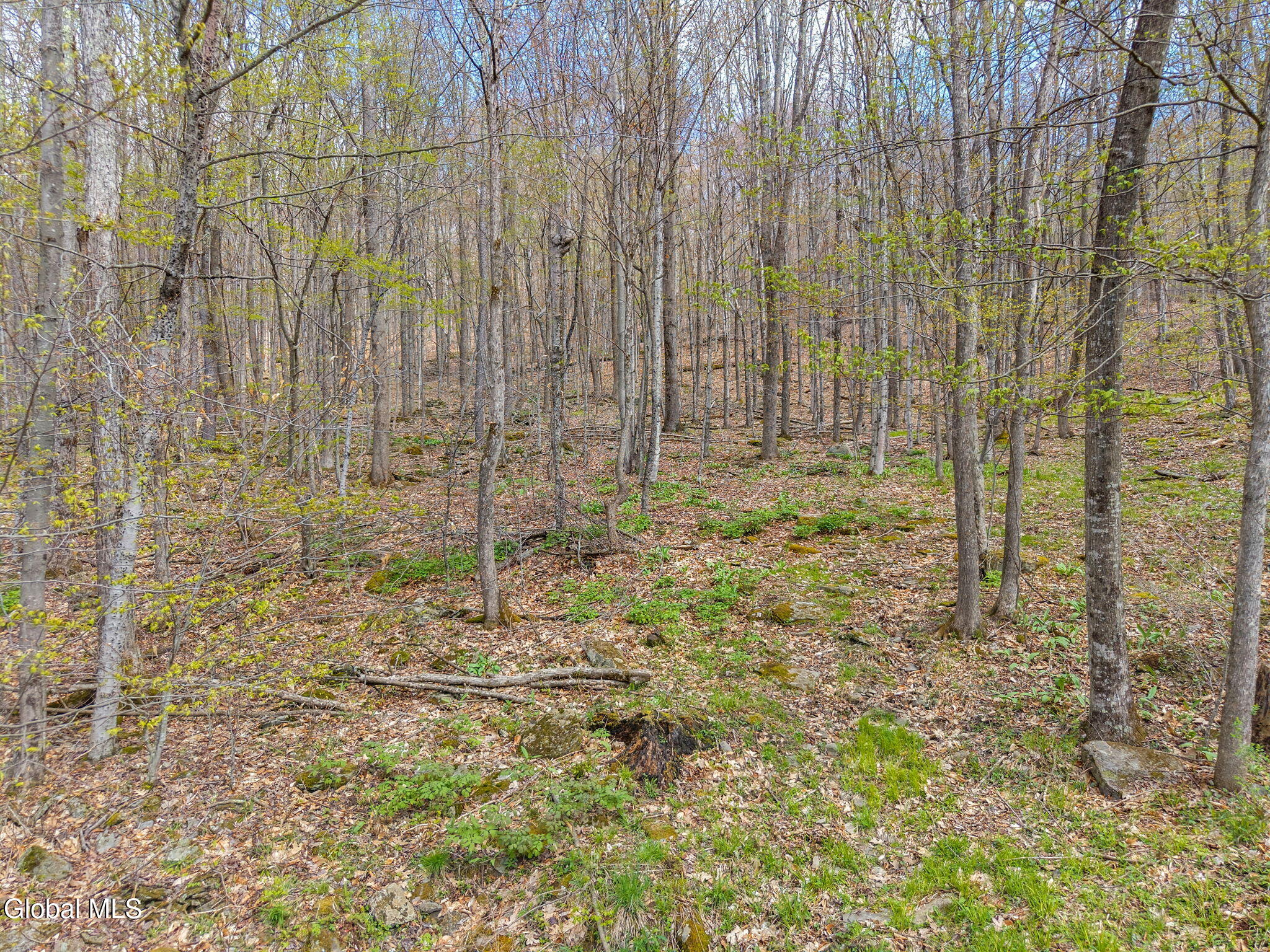 208 Dyer Road Jefferson NY 12093