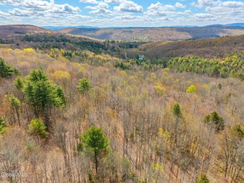 208 Dyer Road Jefferson NY 12093