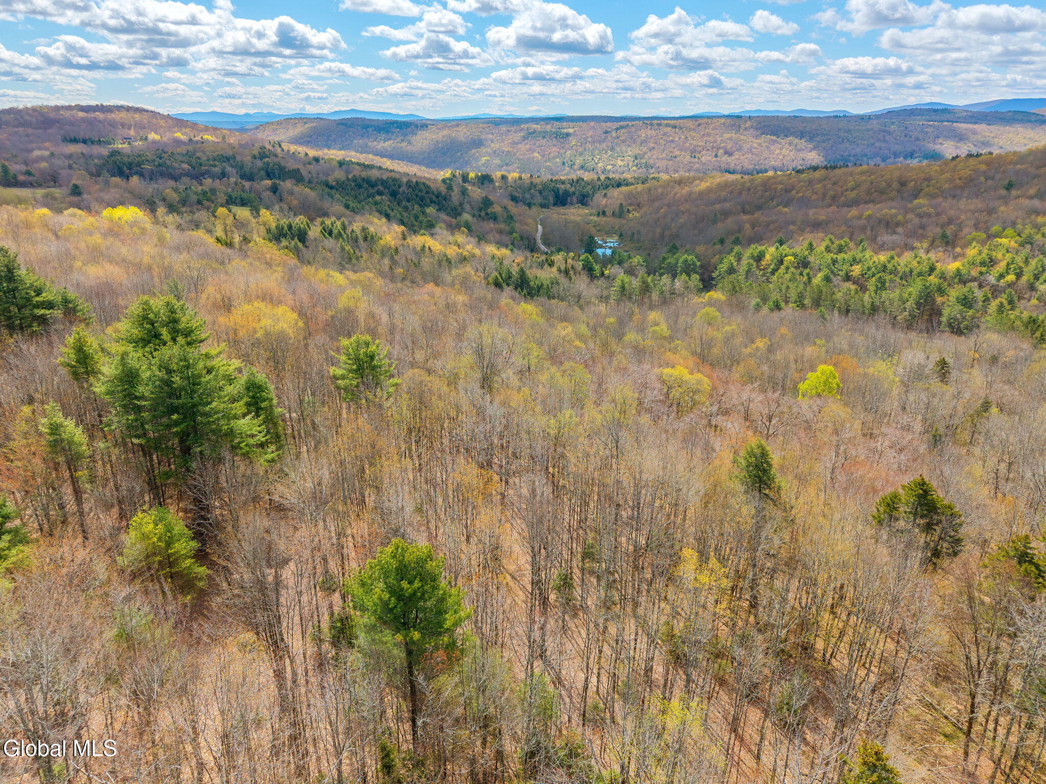 208 Dyer Road Jefferson NY 12093