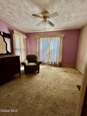 16 Grove Avenue Glens Falls NY 12801