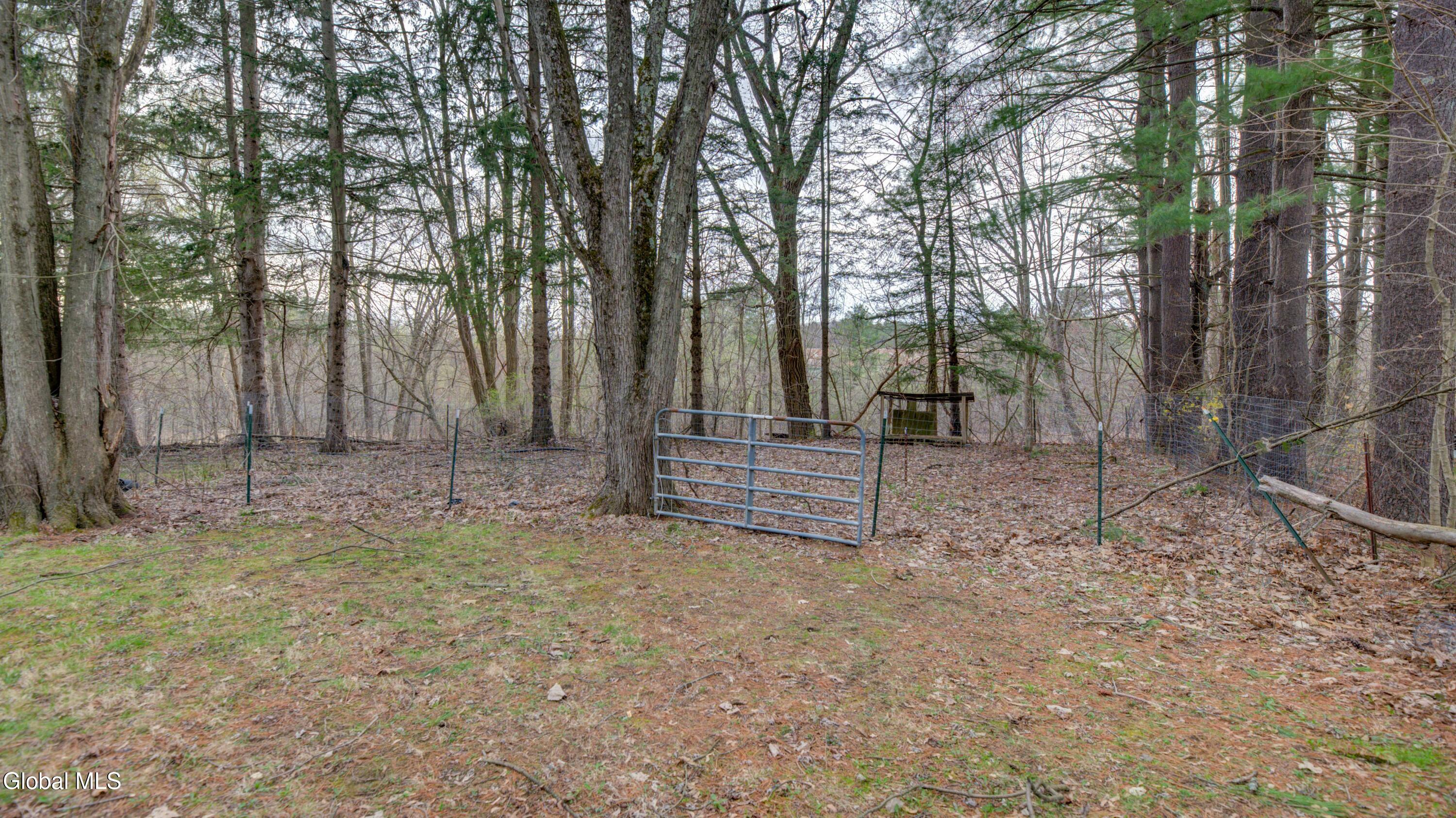 38 Hamilton Street Guilderland NY 12084