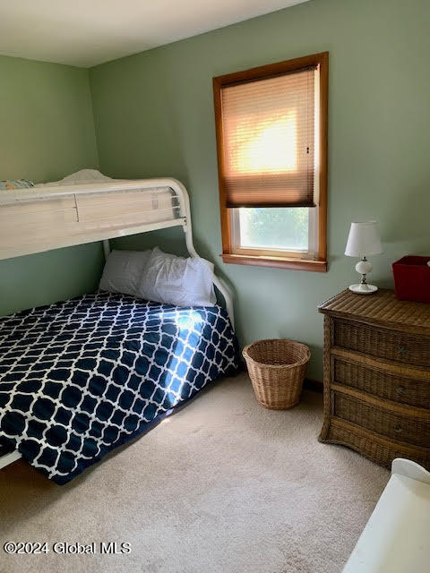 36 Hudson Ridge Road New Baltimore NY 12124