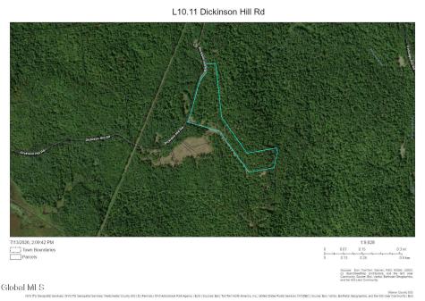 370 Dickinson Hill Road Bolton Landing NY 12814