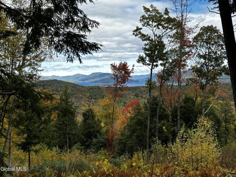 370 Dickinson Hill Road Bolton Landing NY 12814
