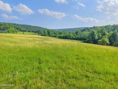 1008 Guinea Road Middleburgh NY 12122
