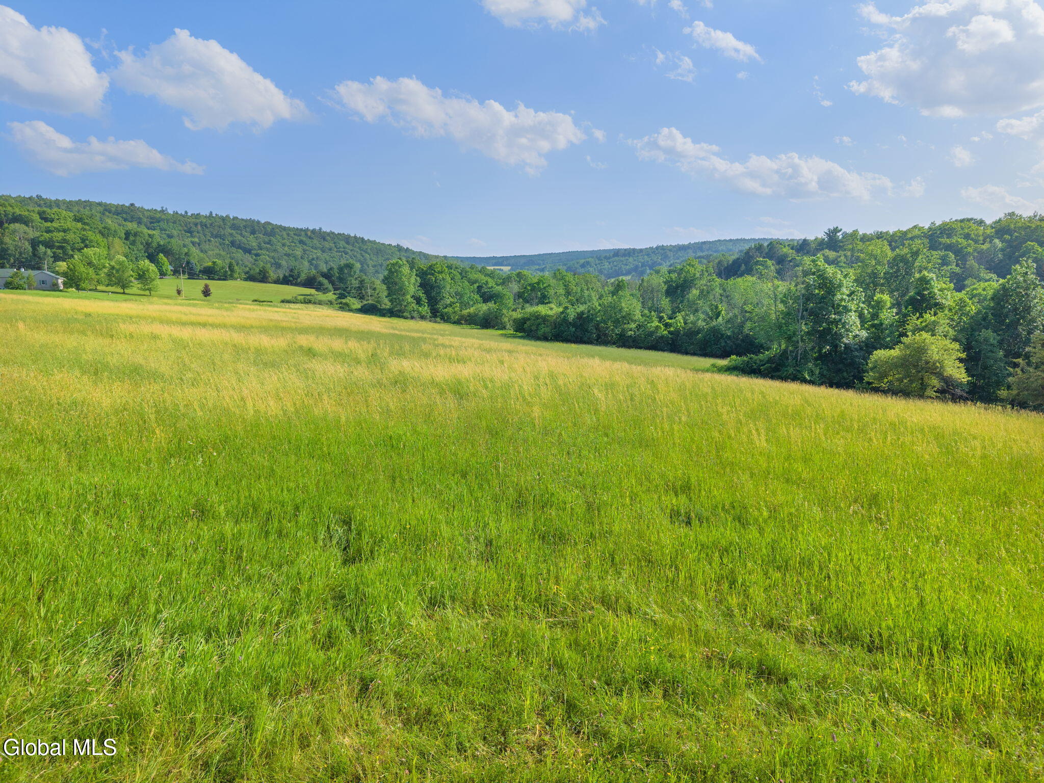 1008 Guinea Road Middleburgh NY 12122