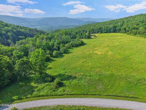 1008 Guinea Road Middleburgh NY 12122