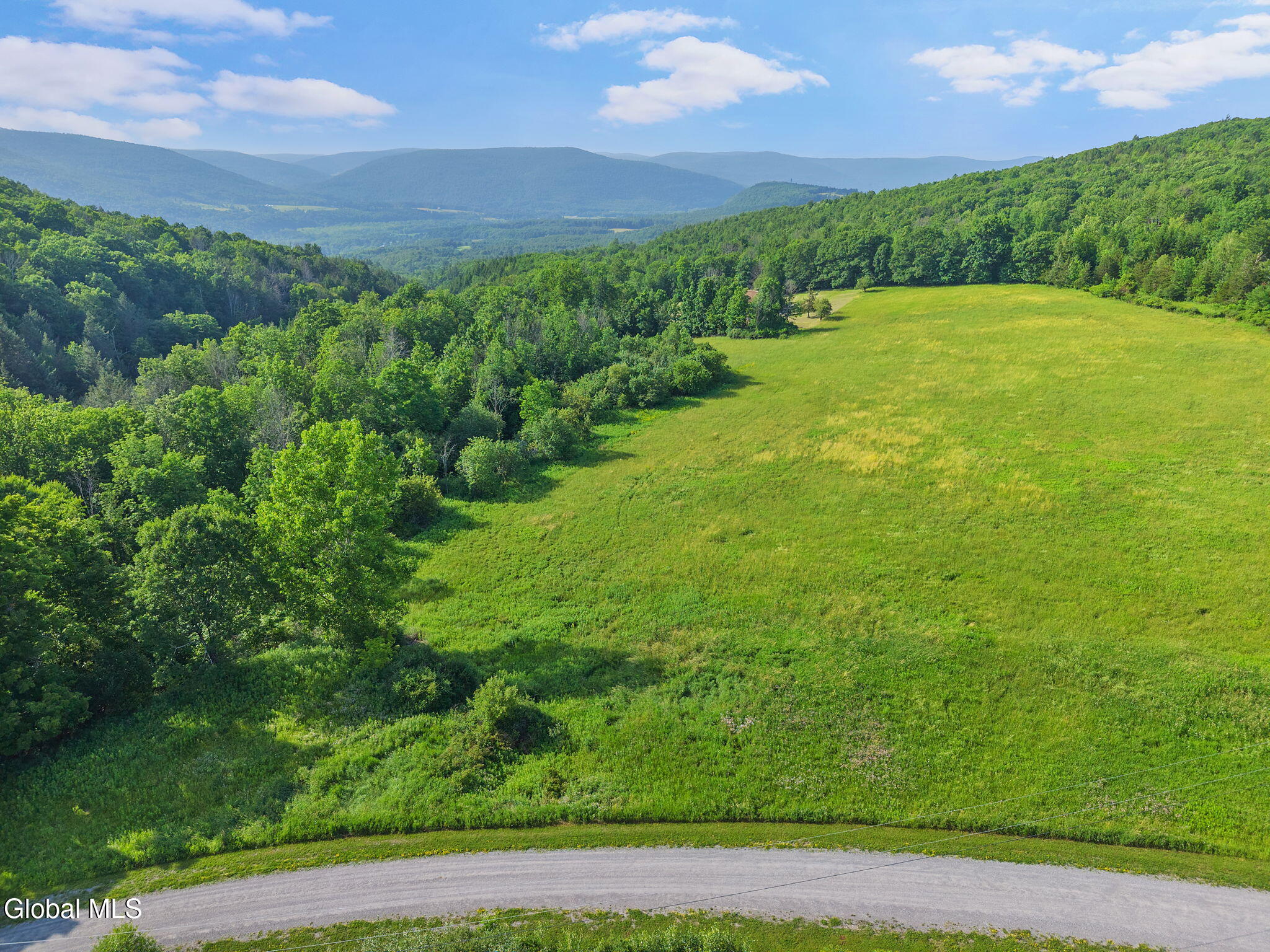 1008 Guinea Road Middleburgh NY 12122